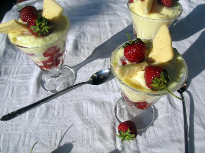 Wellness puding Wellness puding