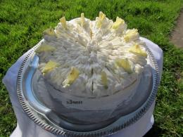 Citrom krémtorta